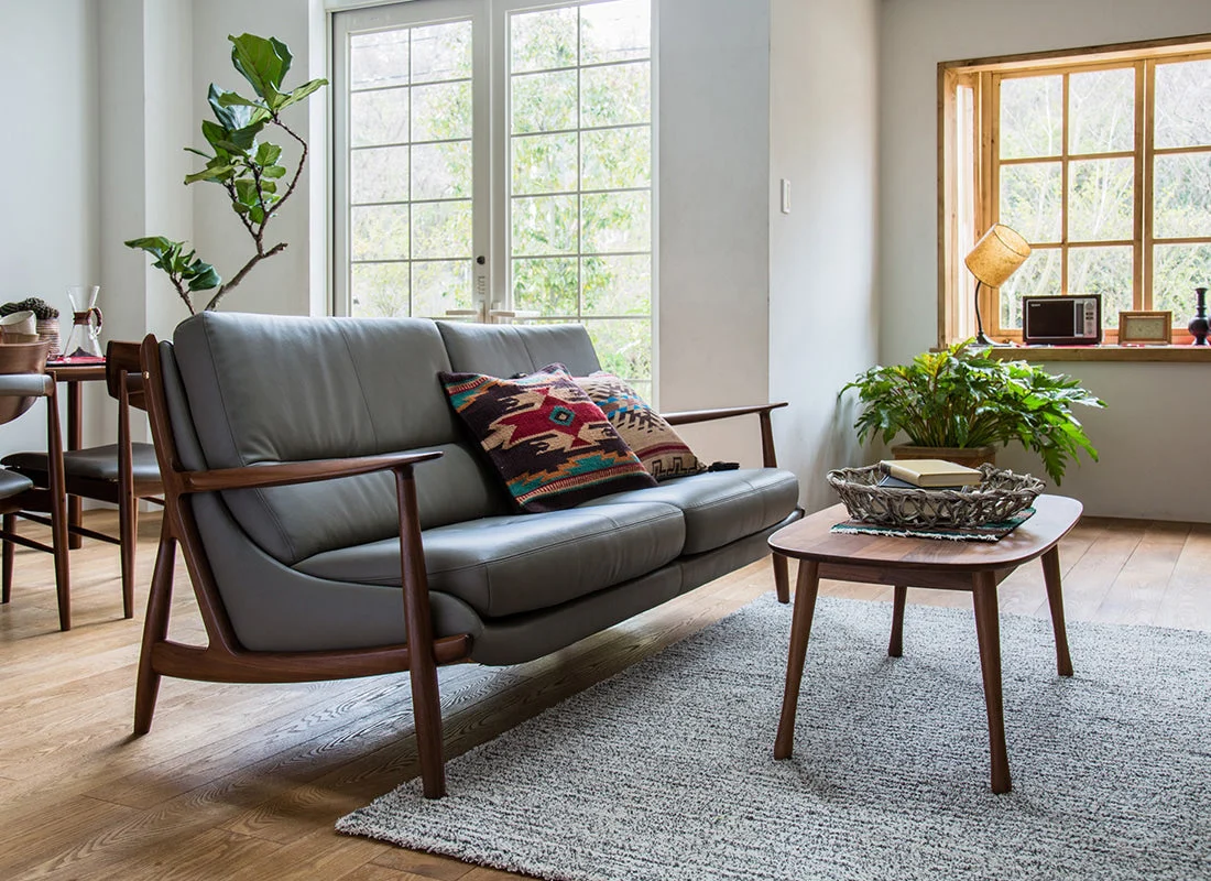 Sofa(Can accommodate multiple people)